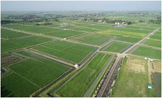 淳化县2023年4万亩高标准农田建设项目(施工）