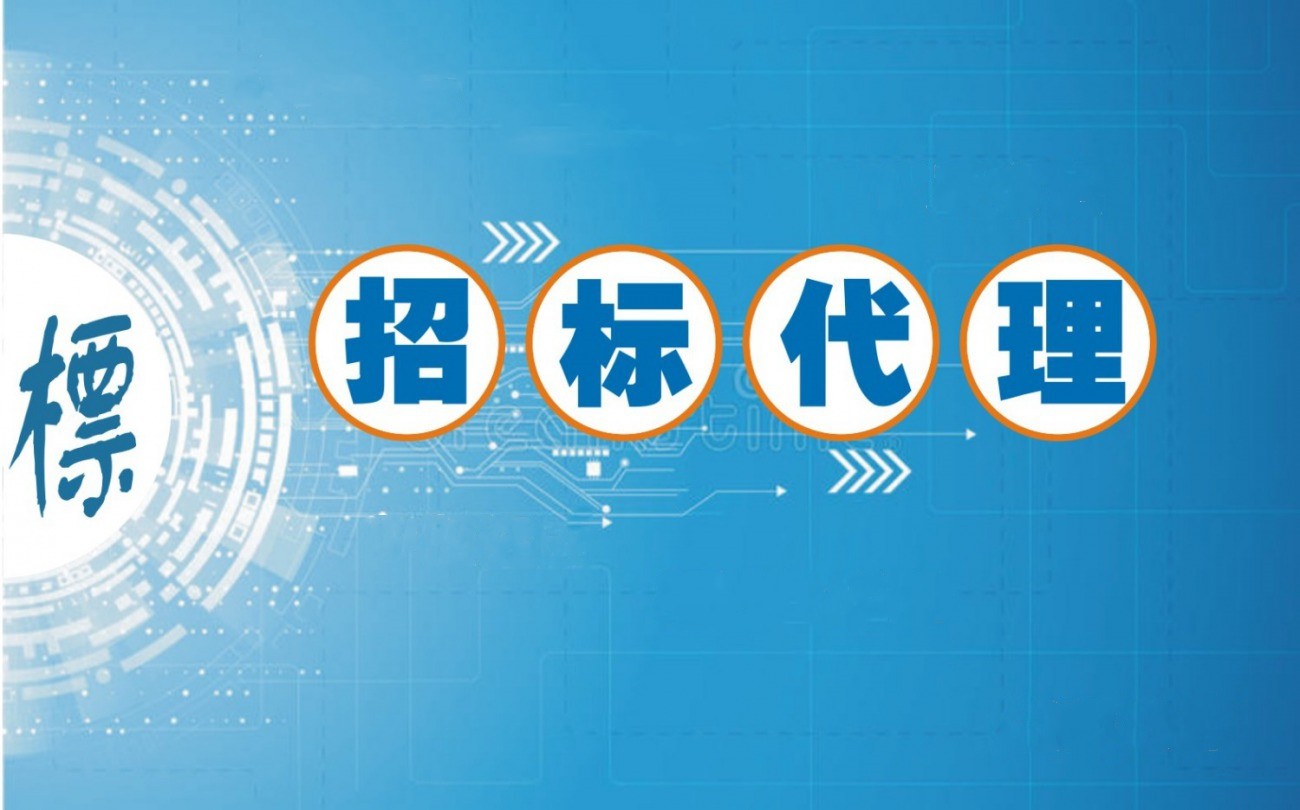 工程招标代理业绩一览表